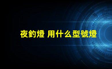 夜釣燈 用什么型號燈珠